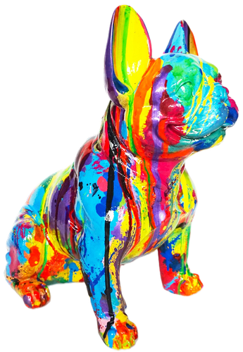 BULLDOG FRANCÉS KIWI