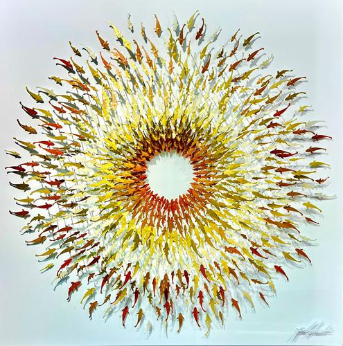 HERE COMES THE SUN GOLDEN KOI