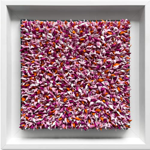 SERIE "LES FLEURS" NR 19