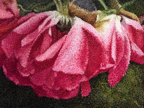 LES ROSES DANSEUES