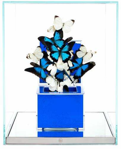 BLUE KLEIN INDONESIA PURE