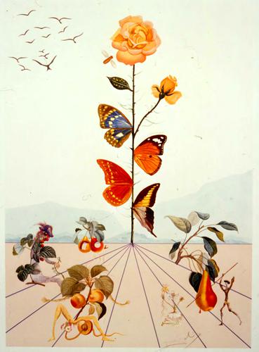 FLORDALI II